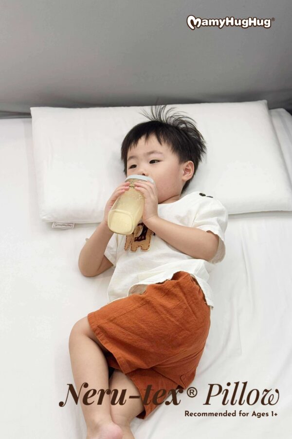 Set B - Nerutex®️ 枕頭 Combo 【1個枕頭➕2個絲滑冰涼枕頭套】(4月1日發貨)