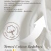 Exclusive Prelaunch Offer - Tencel Cotton Bedsheet (5月25日發貨）
